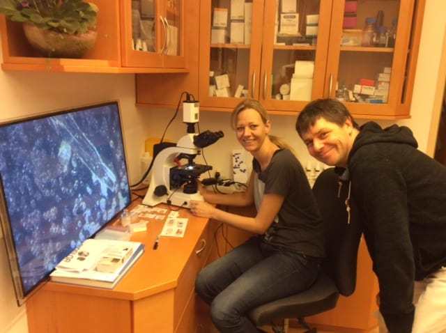 Nadine Bukowski und Gunnar Thorbohm am Dunkelfeldmikroskop von Dr. Helmut Retzek, identifizieren eine Wurmlarve im Blut der Tochter von Dr. Retzek