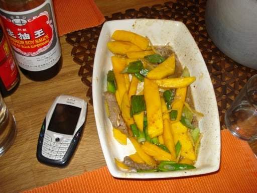 Pute-Mango-Fruehlingszwiebel2 | Dr. Retzek&amp;#39;s umfassend gesund!
